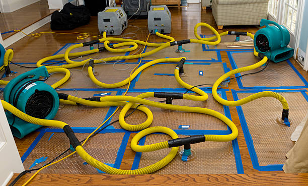 Professional Burst Pipe Water Damage technician working in Bergholz, OH